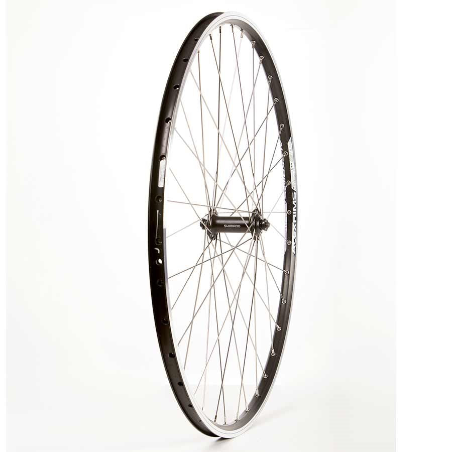 Alex Rims Front Wheel 29” Ace19