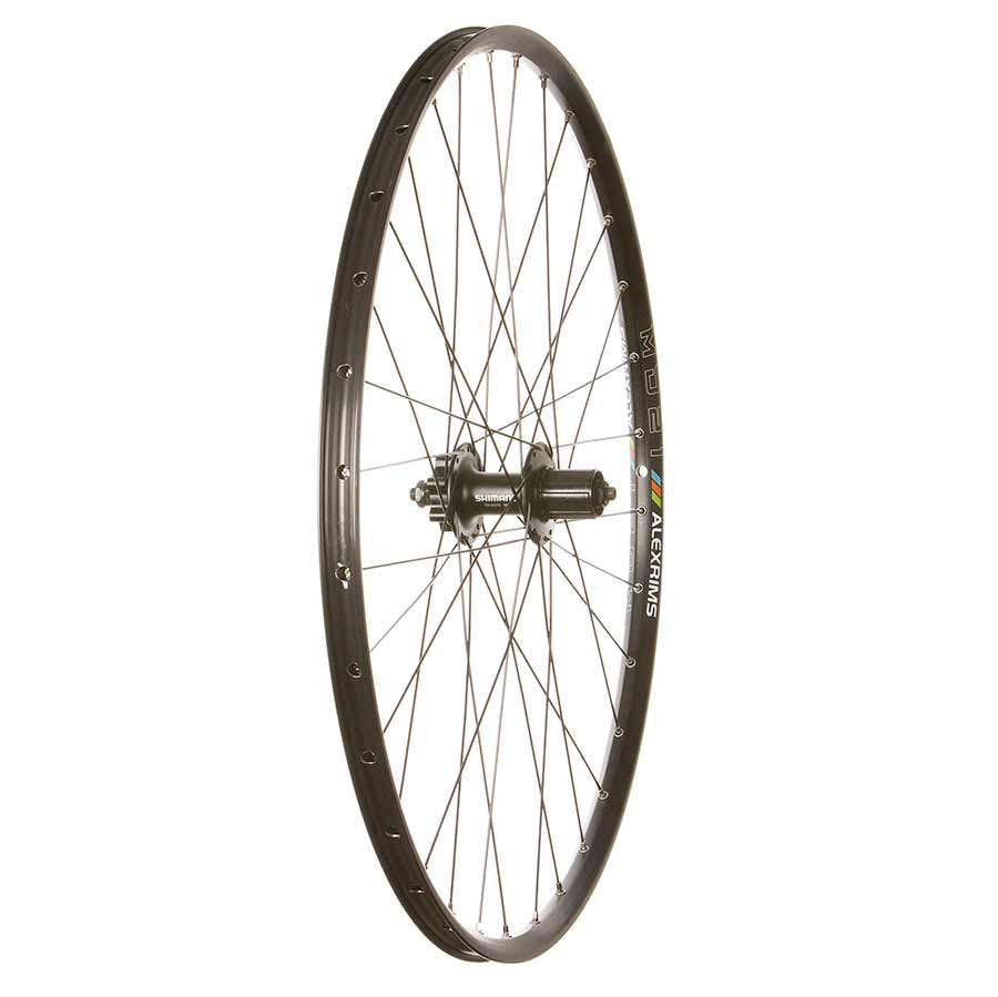 EVO Rear Wheel 29” Alex MD21 Black