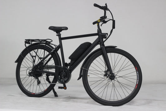 Wolff LYRA Electric Bike Silver (Grey)