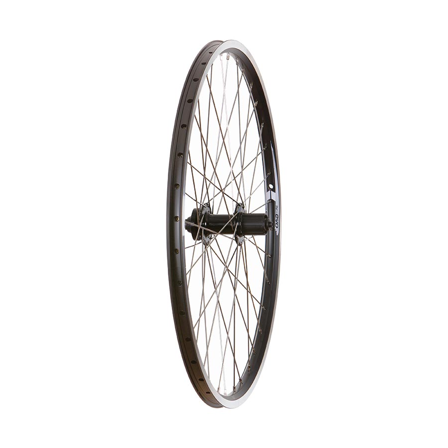 Wheel Shop Rear Wheel 26" - Evo Tour 19 Black/Stainless