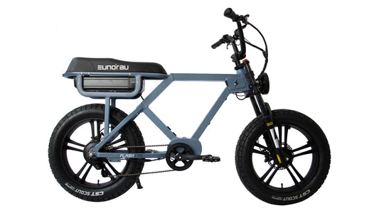 EUNORAU FLASH Electric Bike AWD (Moon Black)