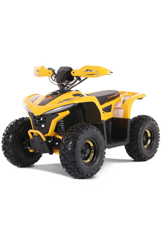 GIO Denago E-Hawk 6 1600W E-Quad (Plus PDI/Freight)