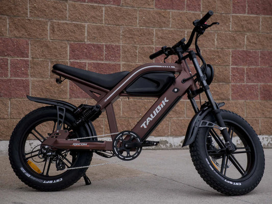 TAUBIK RECON Electric Bike 1000W