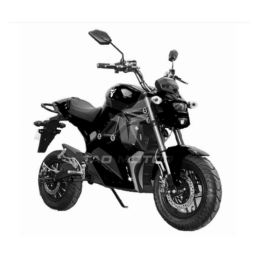 TAO MOTORS ELECTRIC MOTORBIKE GÉMINI 72V