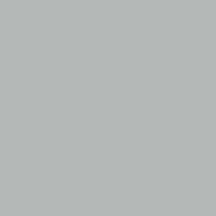 Mission Models Paint (Silver)