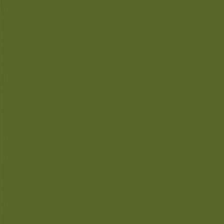 Mission Models Paint (Olivgrün RAL 6003) 1oz (30ml)