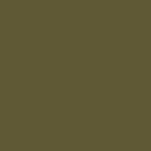 Mission Models Paint (Olive Drab 41 USAAF) 1oz (30ml)