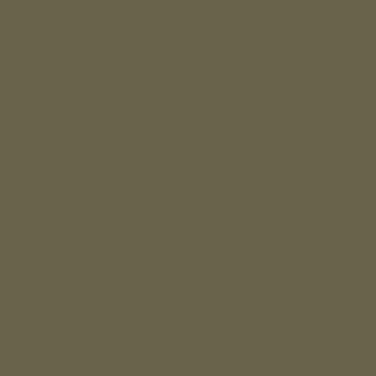 Mission Models Paint (US Army Olive Drab FS319) 1oz (30ml)