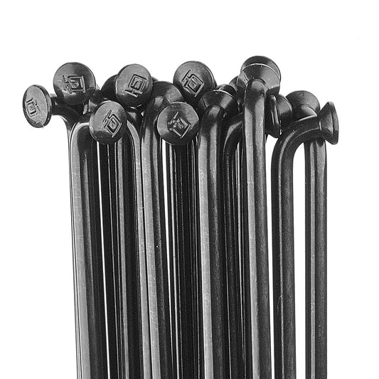 DT Swiss Champion Spokes 253mm Blk (100)