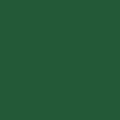 Mission Models Paint (Green) 1oz (30ml)