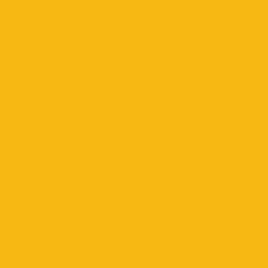 OnPoint Polycarbonate Paint (Yellow) 150ml