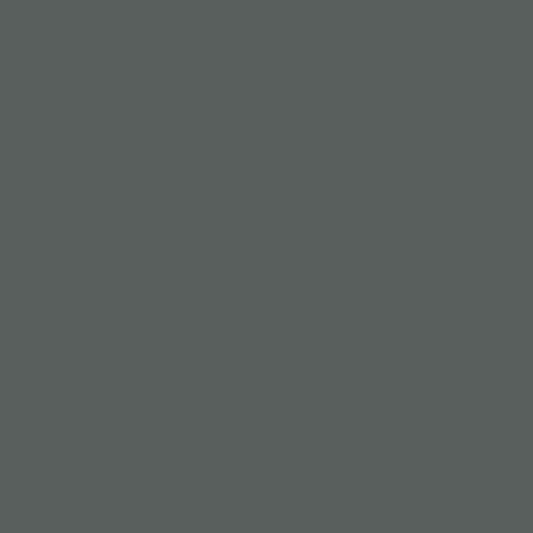 OnPoint Polycarbonate Paint (Silver) 150ml
