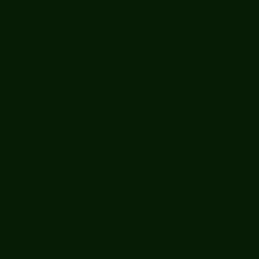 OnPoint Polycarbonate Paint (Dark Green) 150ml