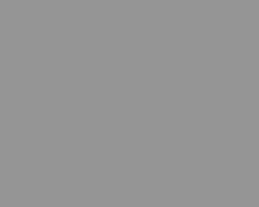 On-Point Polycarbonate Paint (Smoke) 150ml